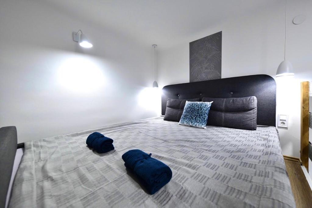 Cute Gallery Apartment Close To The Basilica, Queen Budapeszt Zewnętrze zdjęcie
